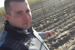 Vocne Sadnice iz Rasadnika Tojkić 17