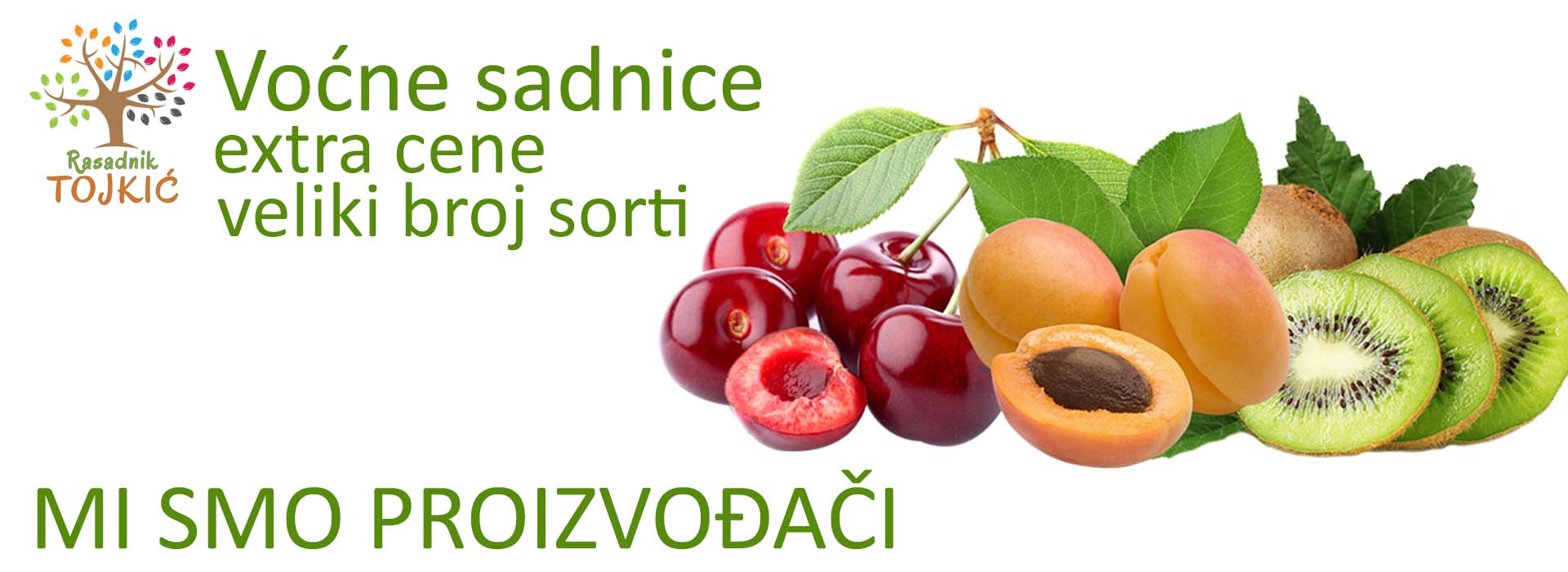 vocne sadnice prodaja jesen 2024